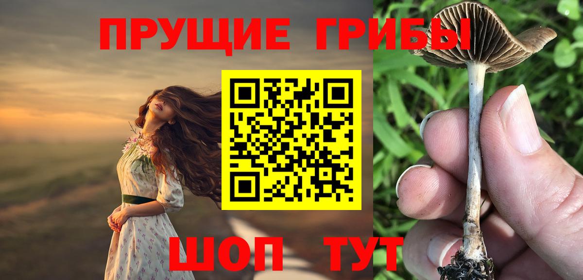 Тольятти  Псилоцибиновые грибы мицелий  Вход с VPN 